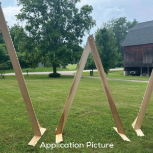 Exquisite Geometric Bliss