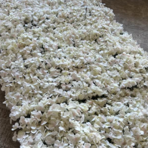 White Graceful Peace Wall